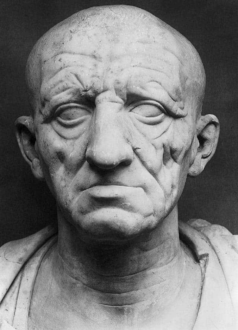 Cato the Elder bust