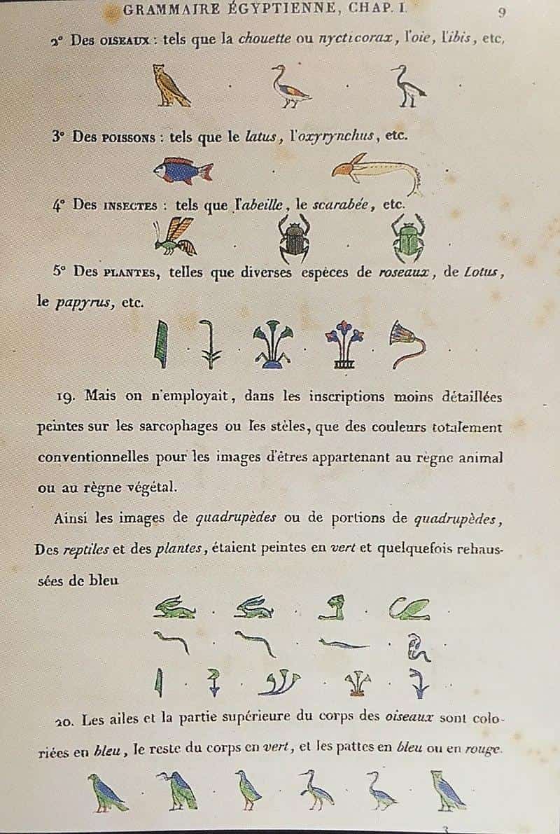 Opening of Champollion, p. 1.jpgA page from Grammaire égyptienne, 1836