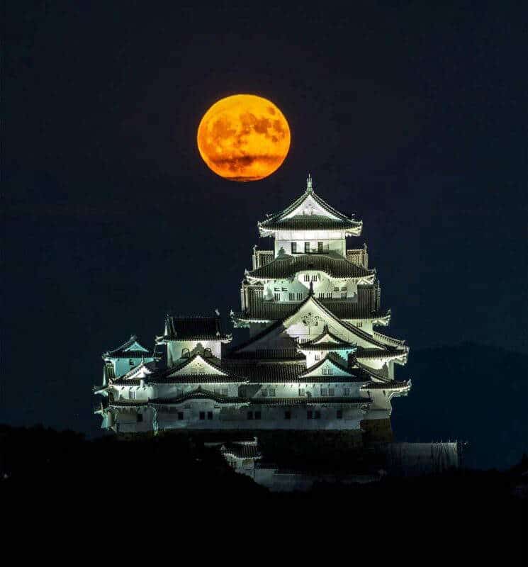 himeji castle exterior illustration