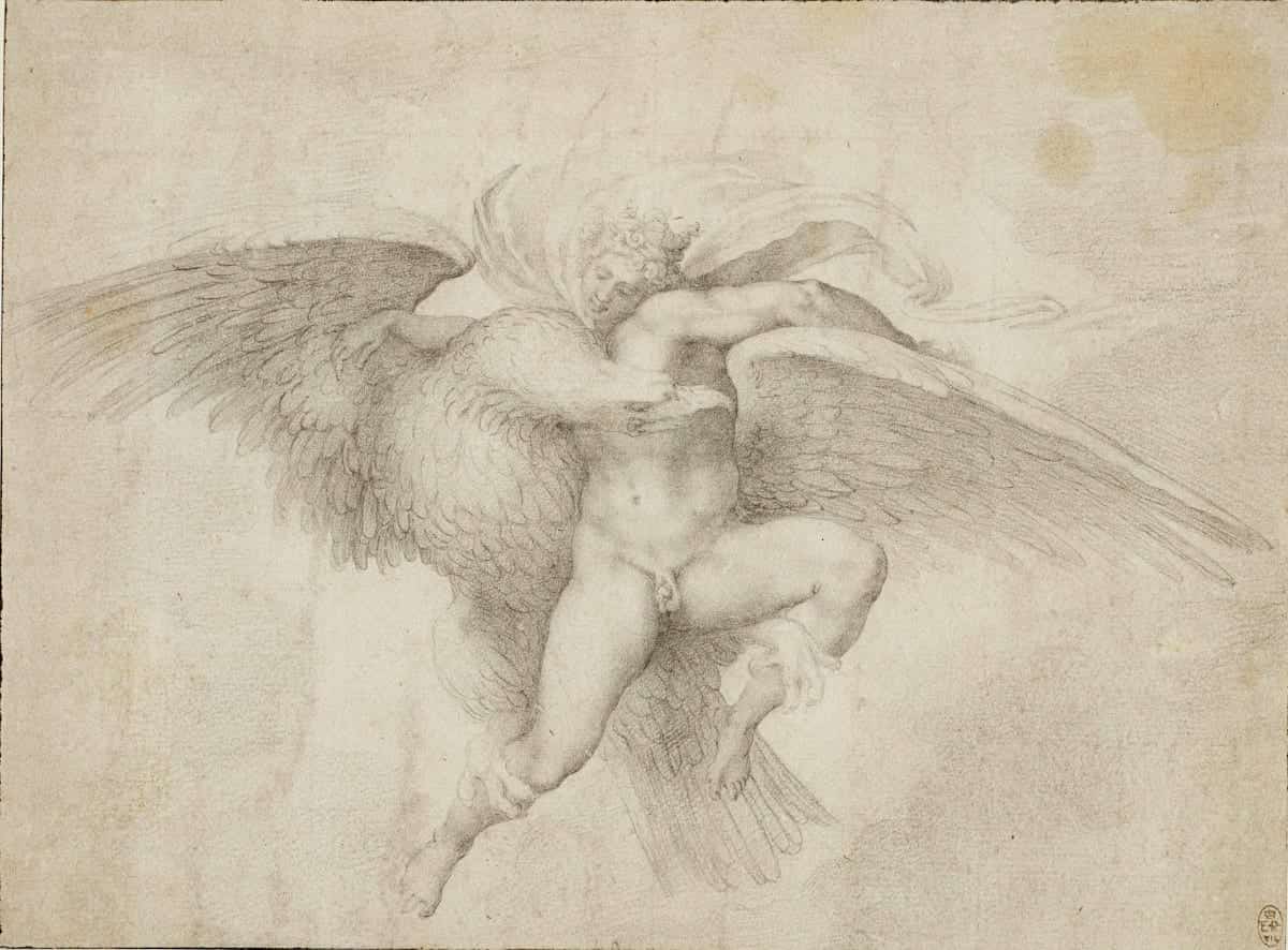 michelangelo-ganymede-zeus-drawing