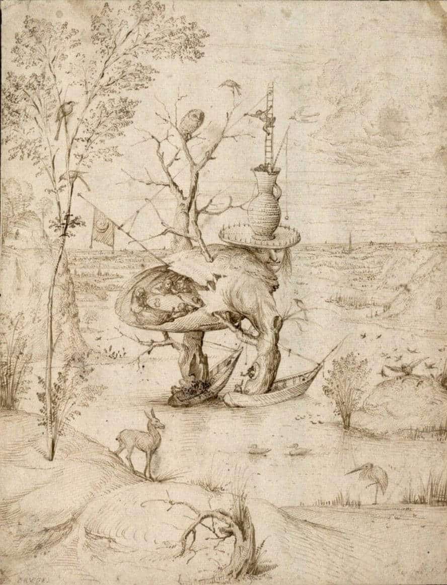 hieronymus bosch der baummensch drawing