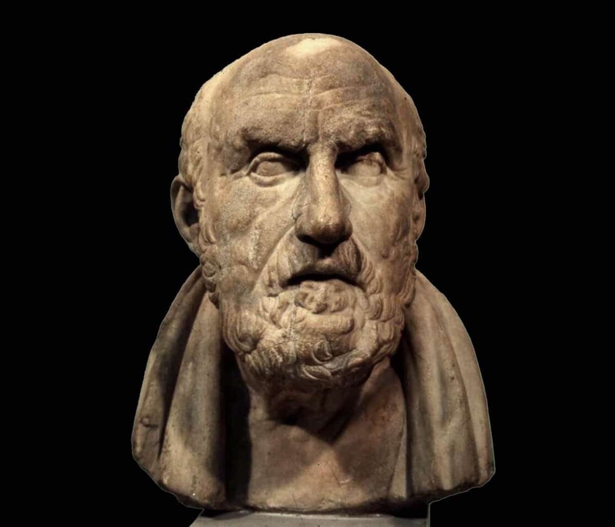 chrysippus bust