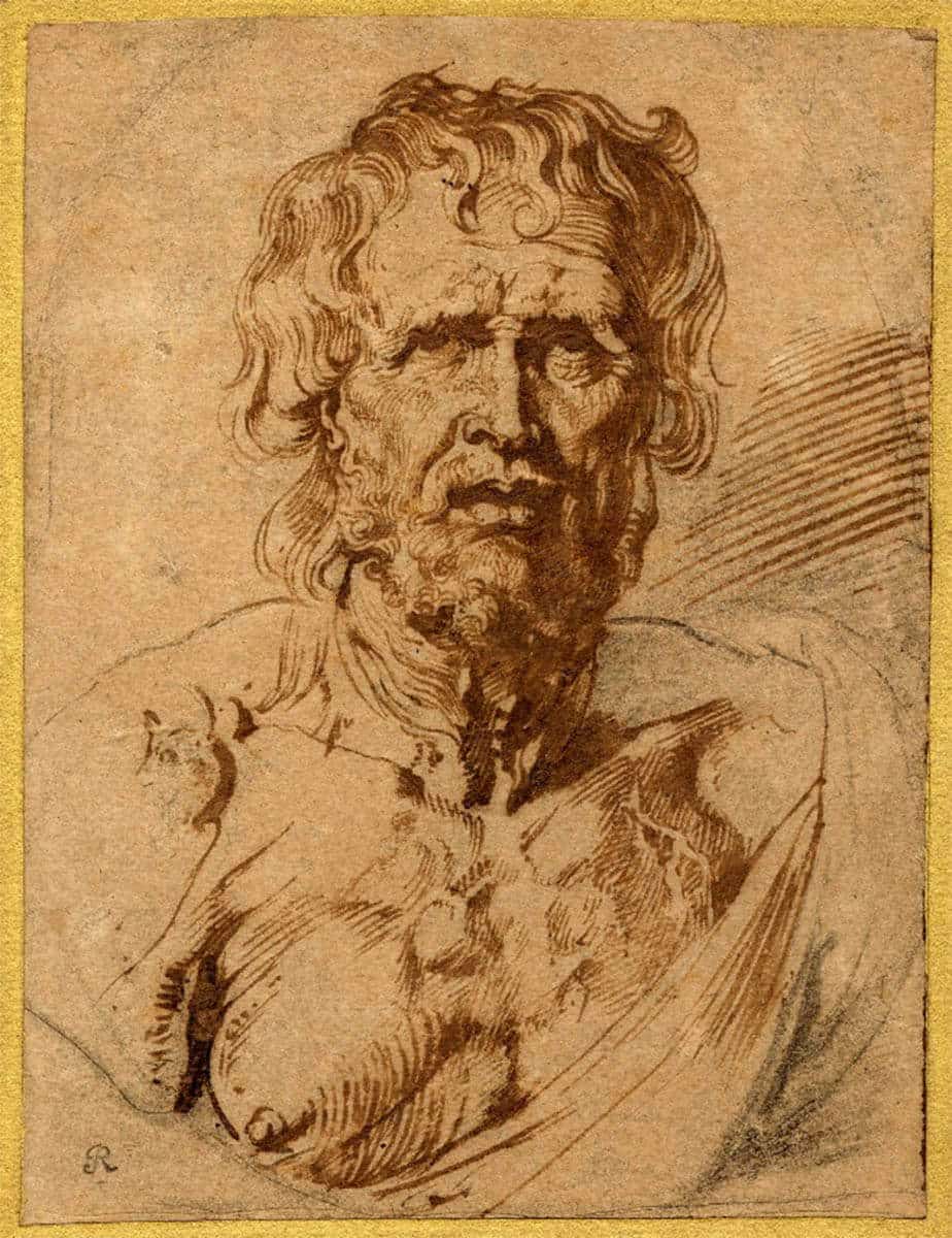 seneca drawing