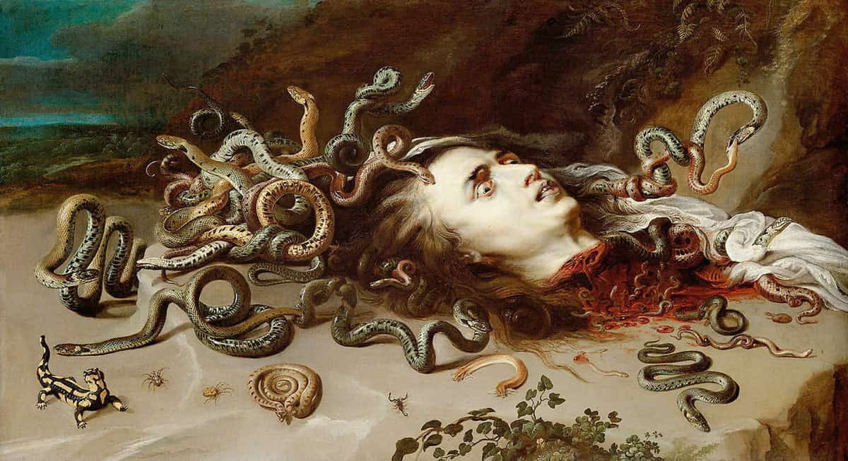 rubens medusa