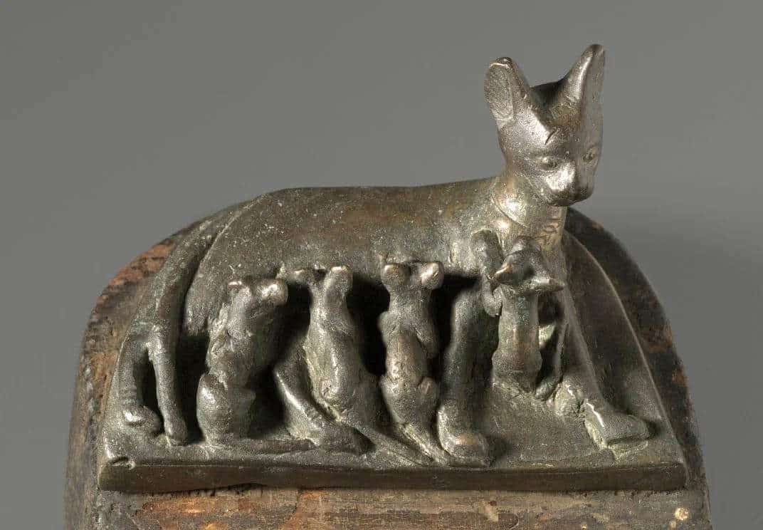 cats in ancient egypt kittens