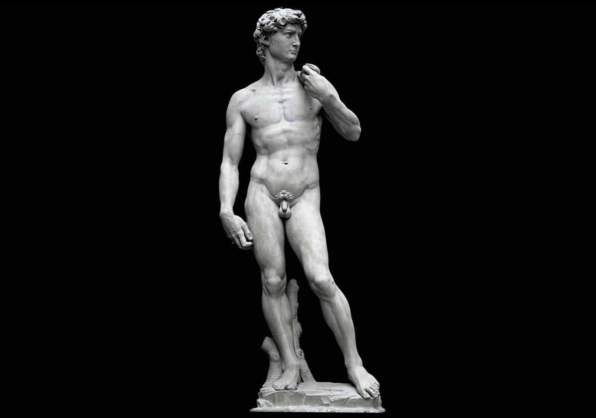 michelangelo david beauty standards