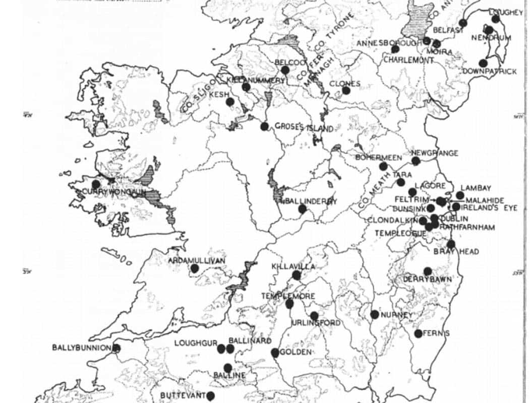 roman artefacts irish midlands