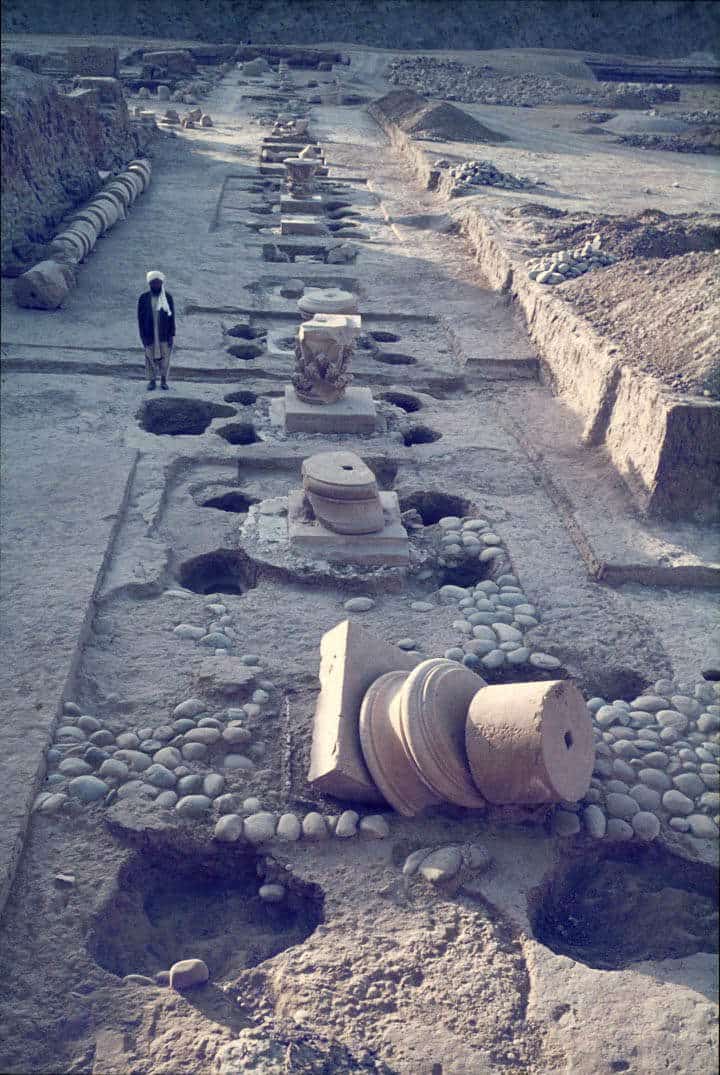 ai Khanoum ruins bactrian kingdom