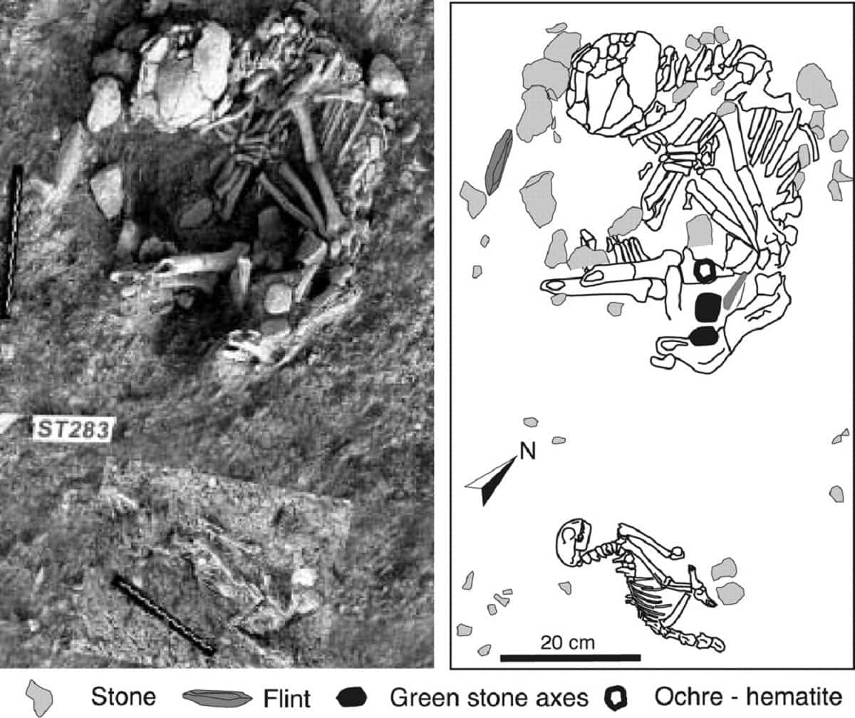 cyprus pet cat burial