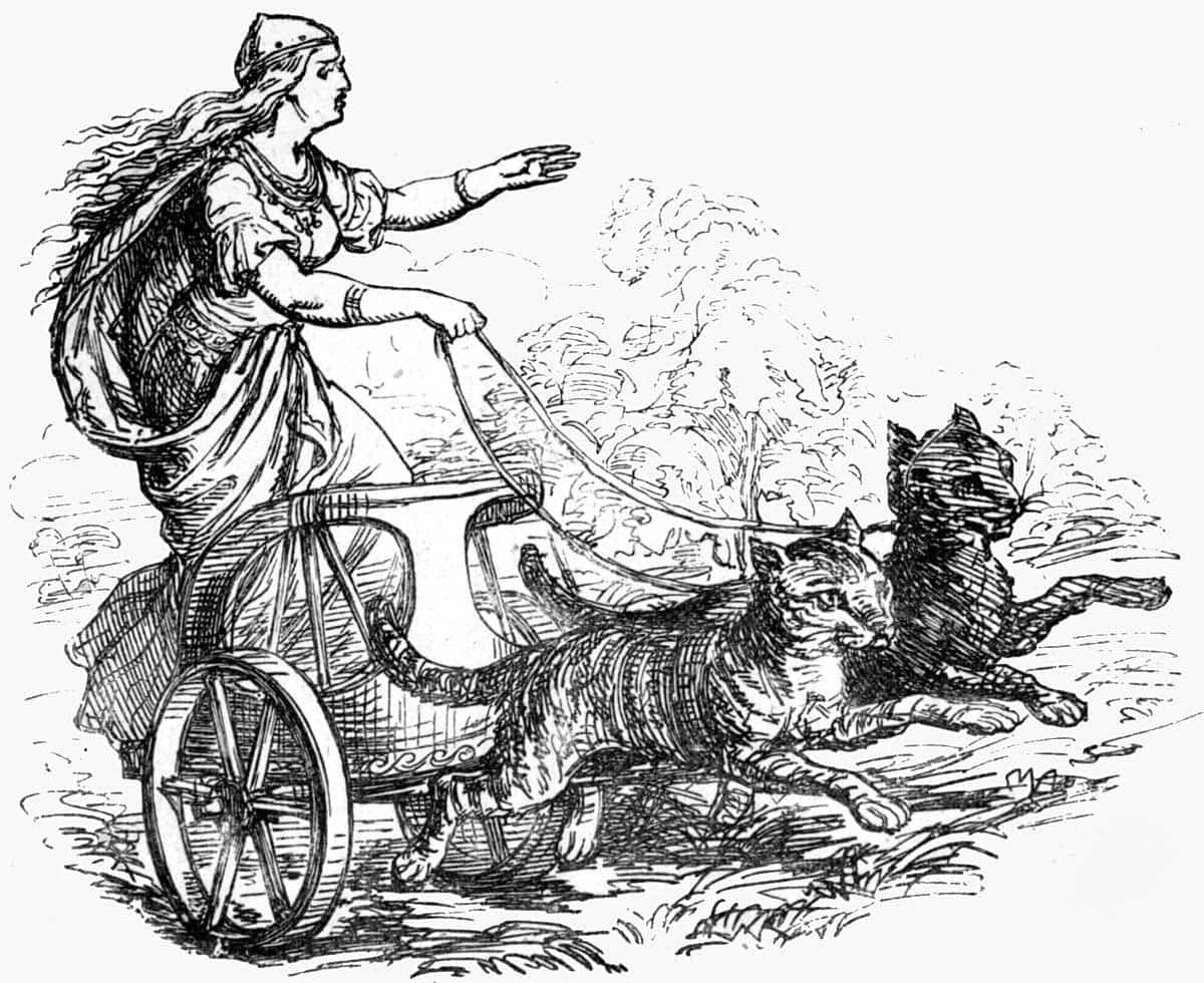 freyja cats chariot