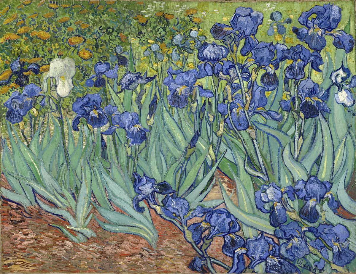 vincent van gogh irises