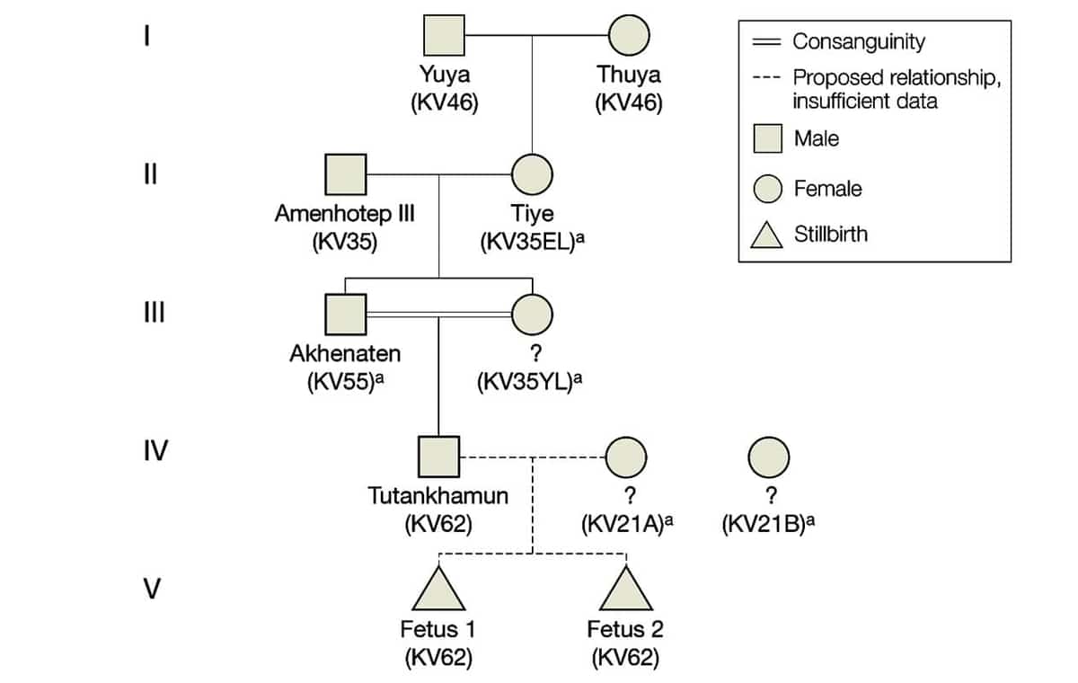 king tutankhamun family tree