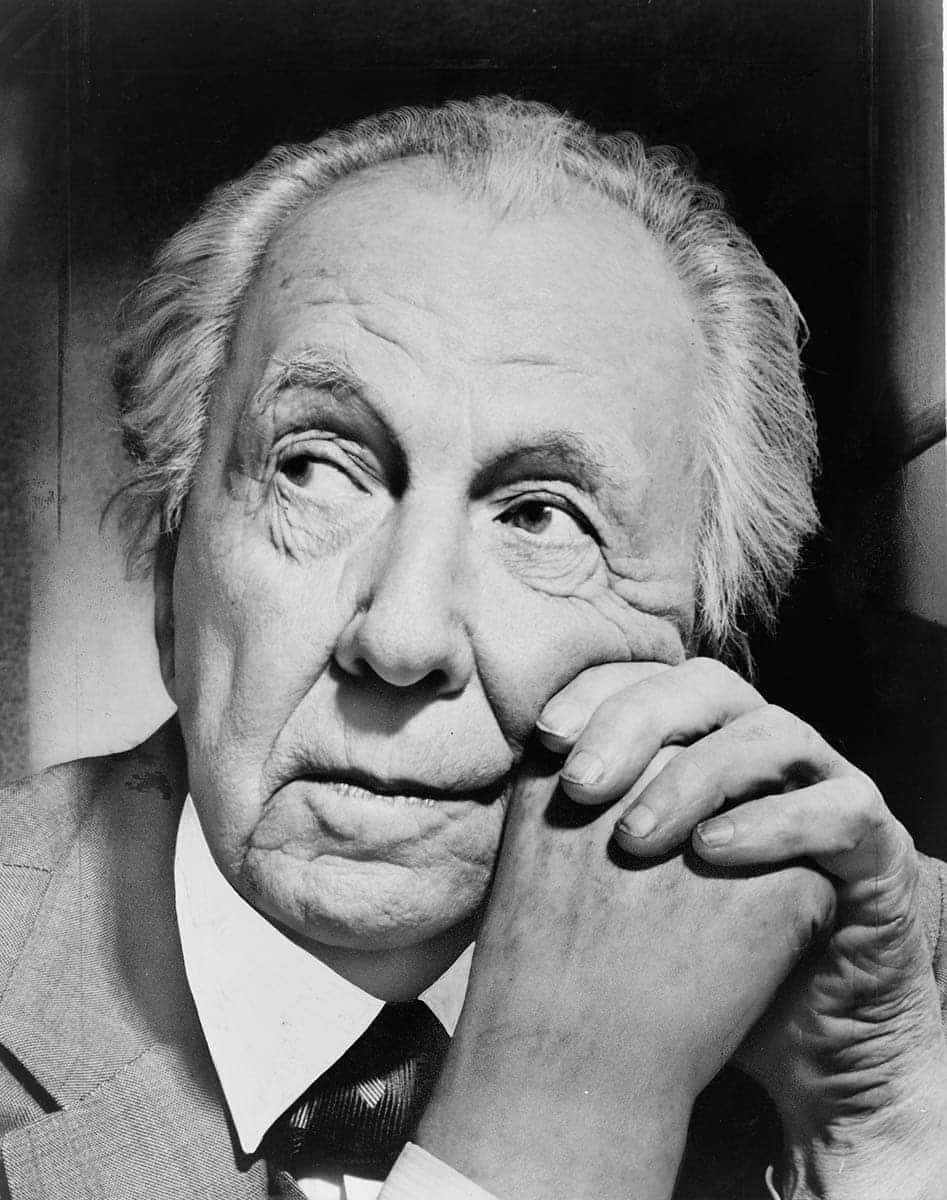 portrait photograph frank lloyd wright