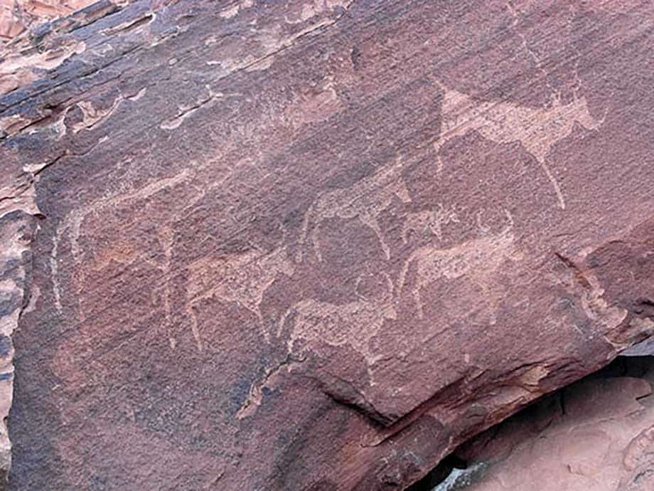 rock engraving Twyfelfontein