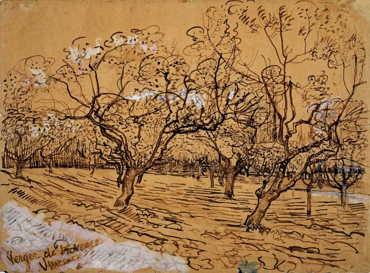 provencal orchard vincent van gogh