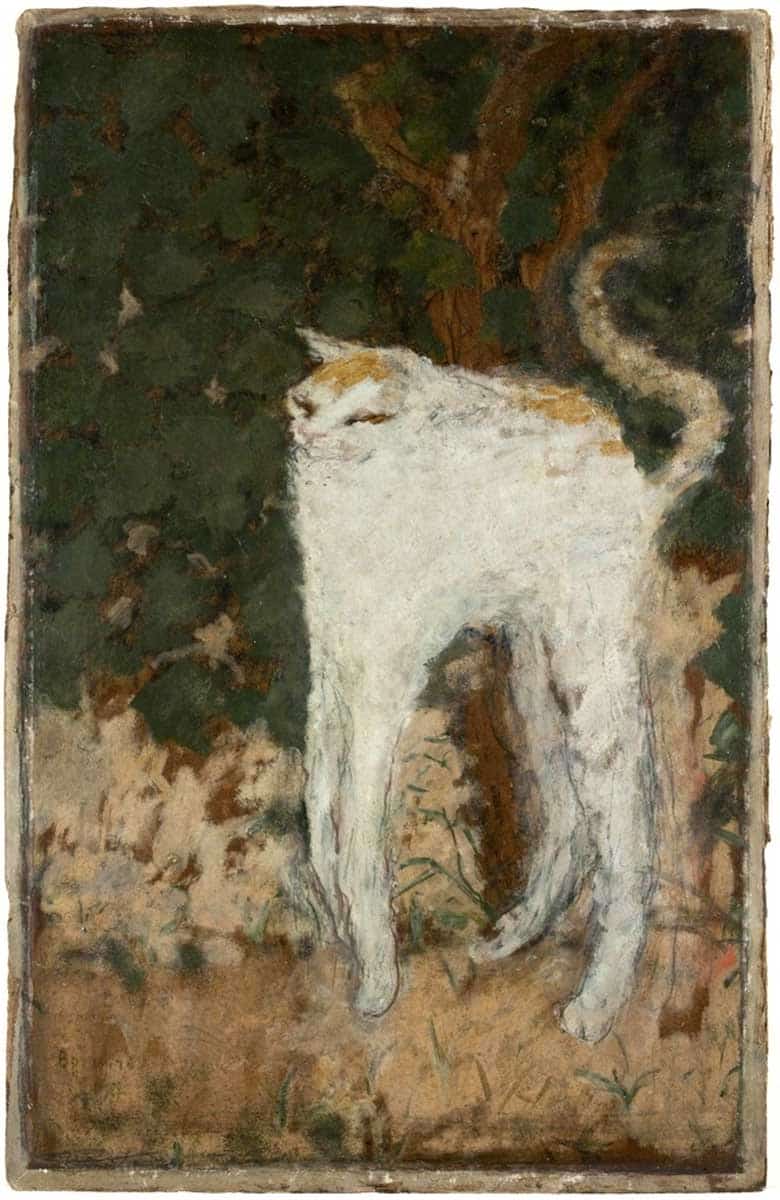 bonnard white cat painting 1894 weird artworks