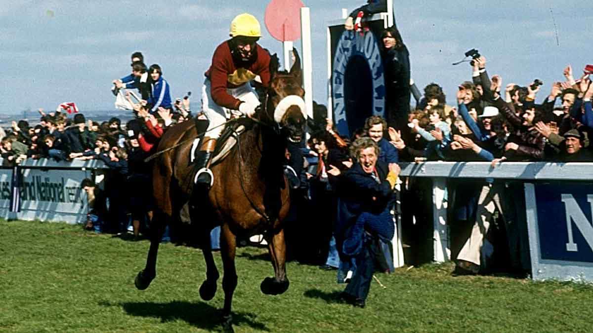 famous horses red rum 1977