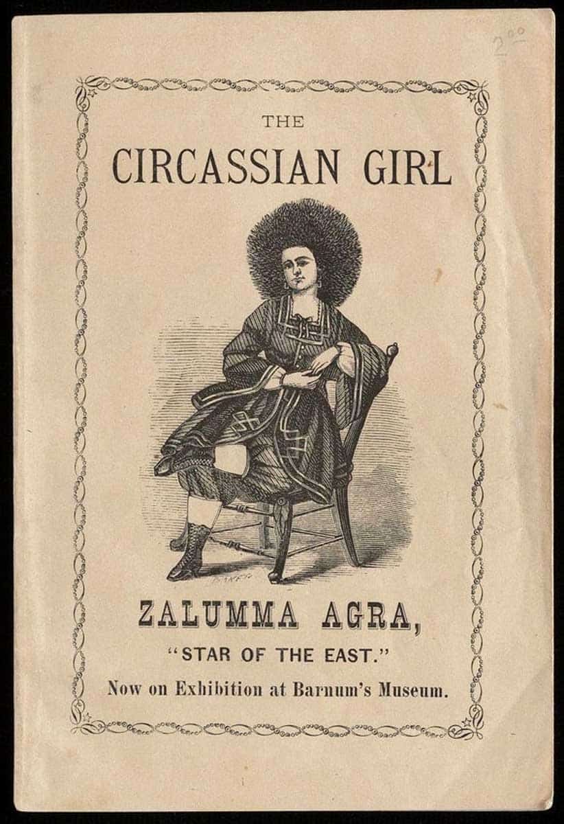 bridgeport zaluma circassian beauties