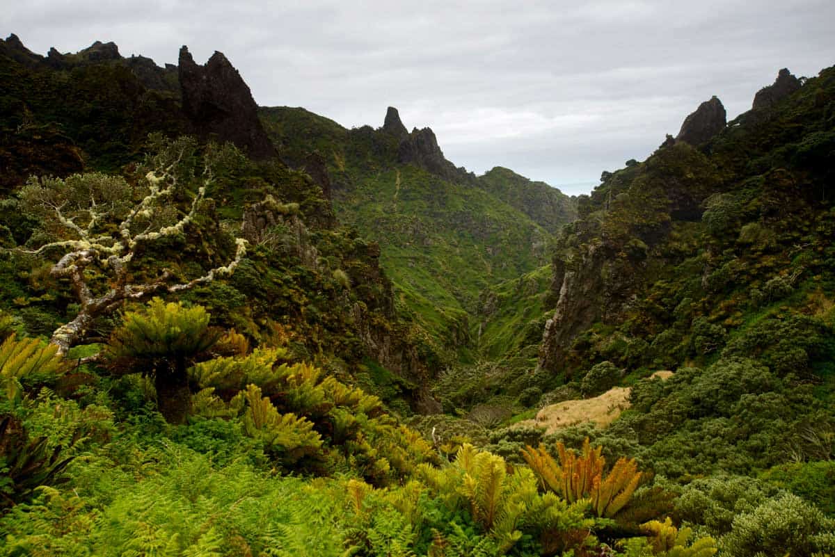 british island territories gough island