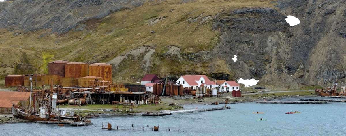 grytviken whaling station