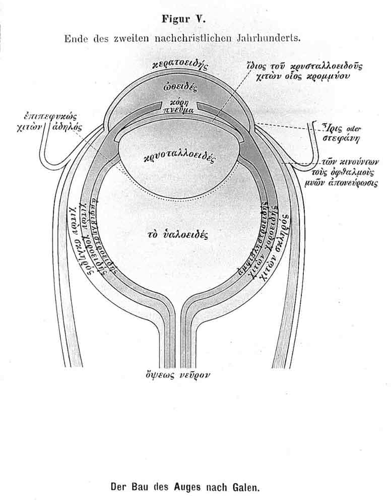 diagram of the eye galen