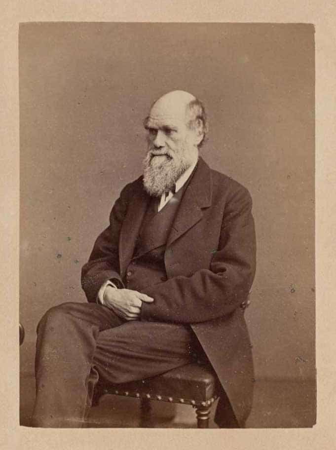 photograph of charles darwin