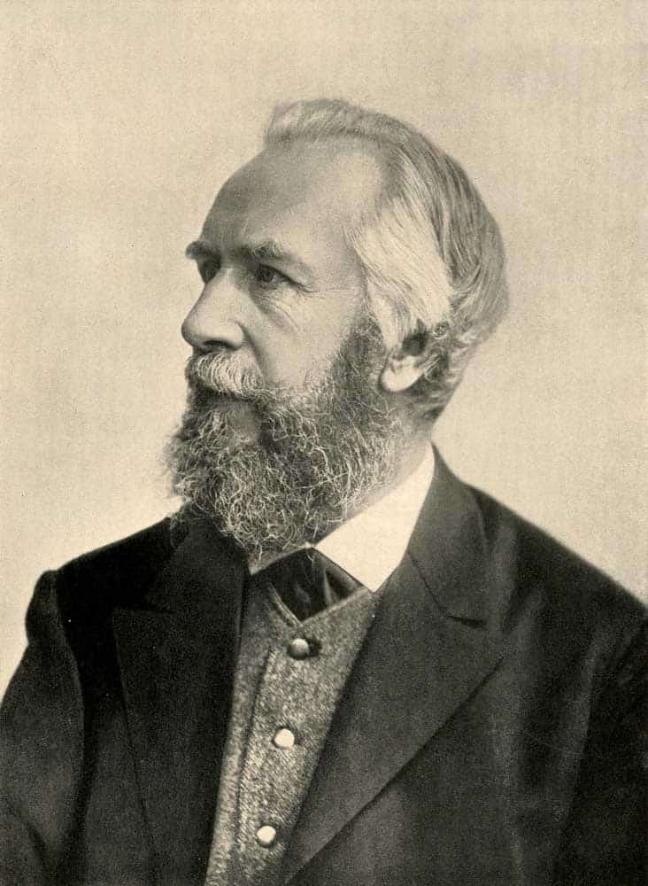 portrait of ernst haeckel