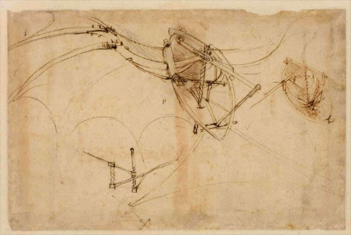 leonardo da vinci wings