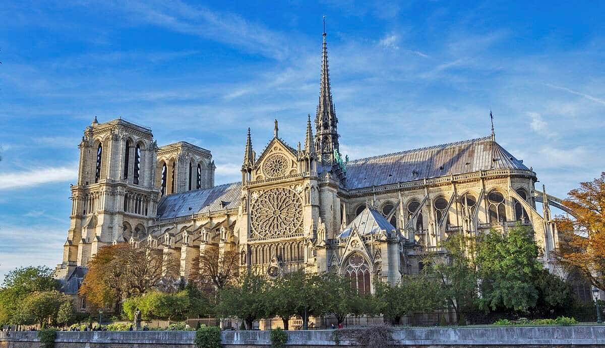 Notre Dame Cathedral, Ancient Skeletons