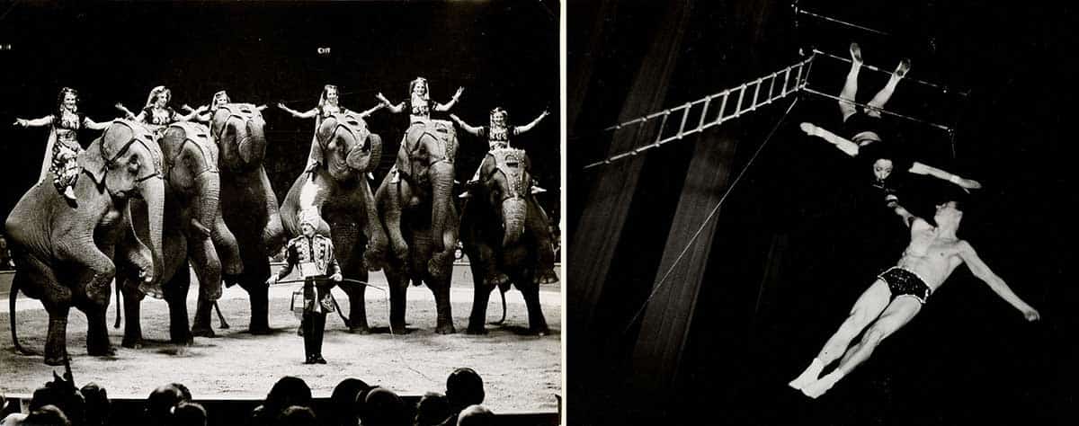 bertram mills circus 1949 photograph