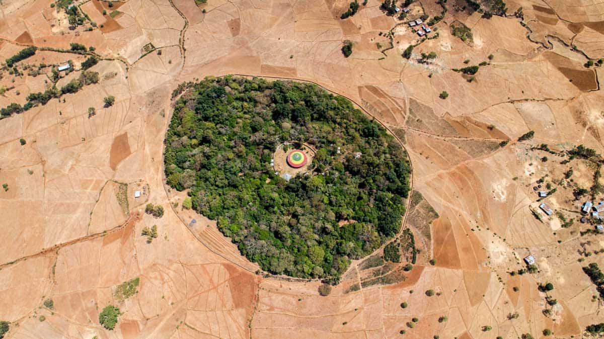 ethiopia church forest