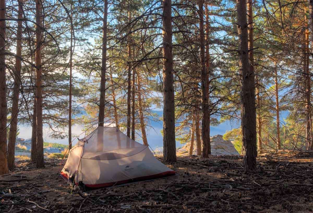 tent forest sierra nevada