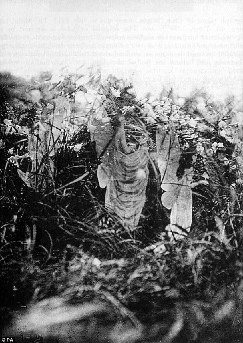 fairy sunbath elves cottingley 1920