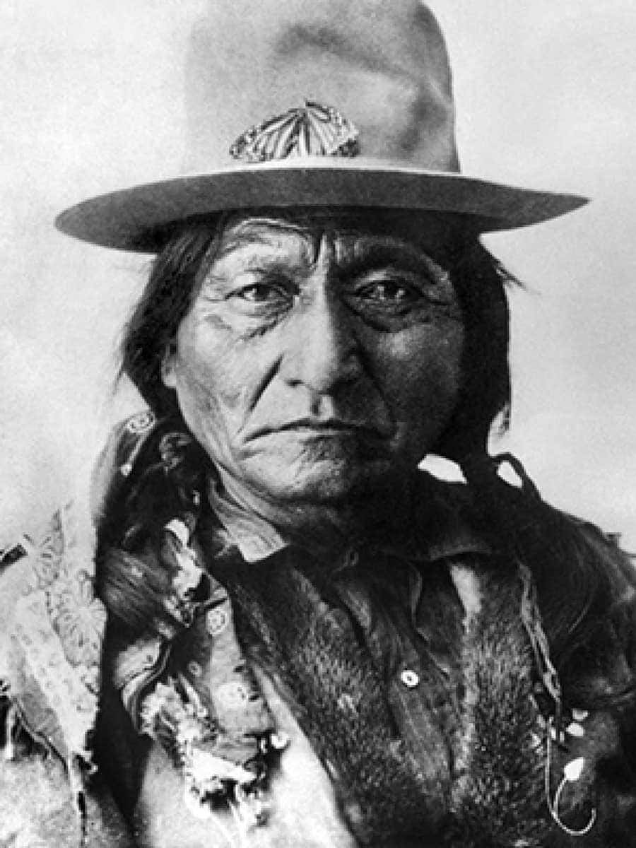 portrait sitting bull