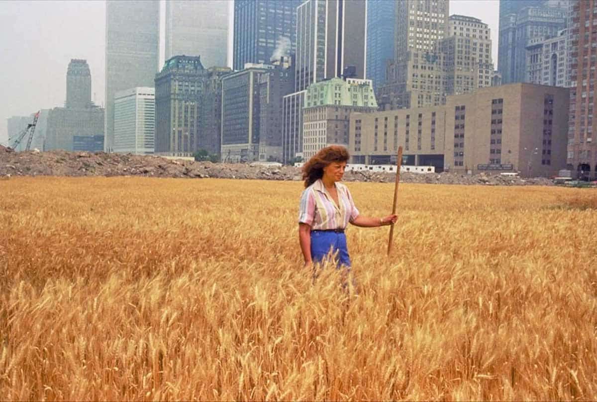 agnes denes wheatfield confrontation