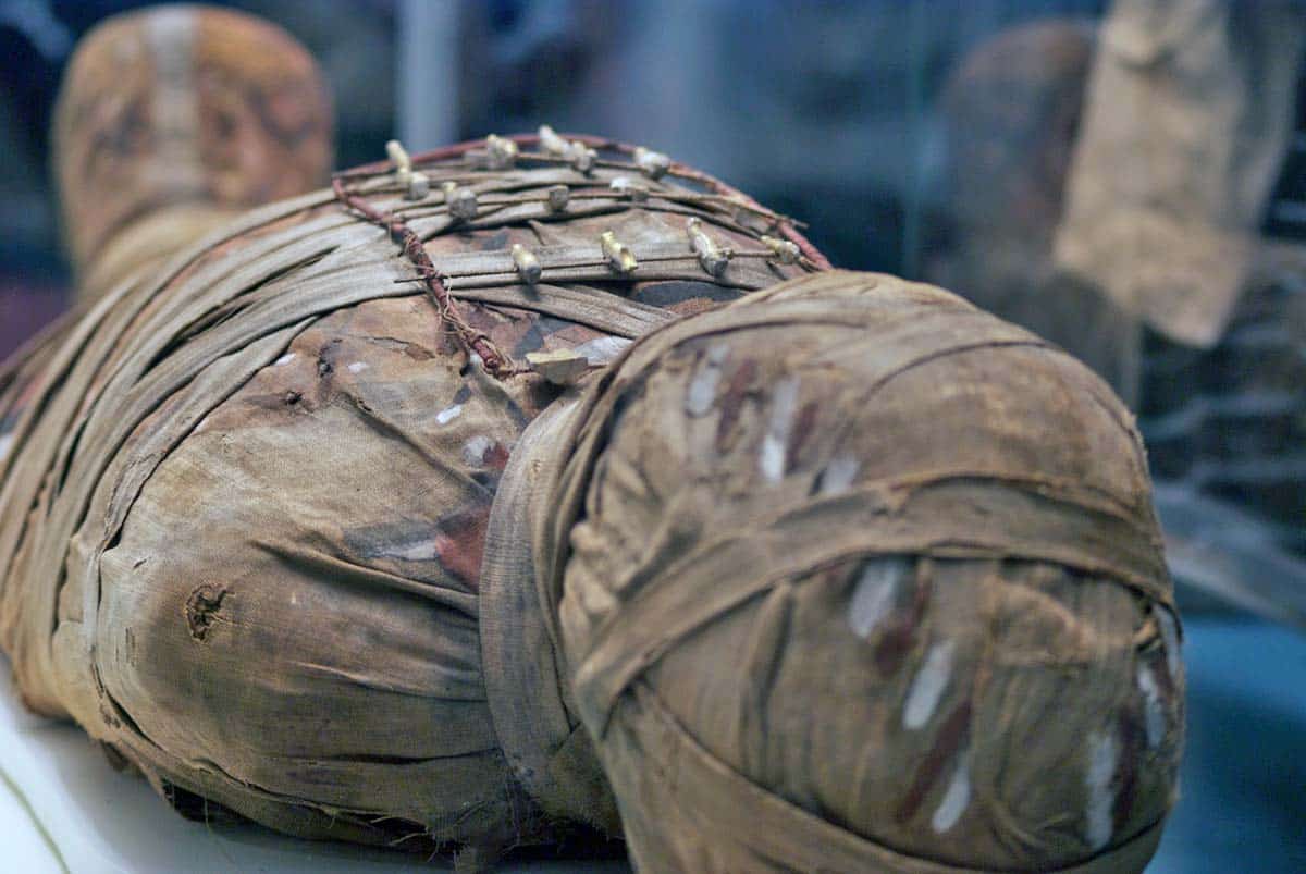 ancient egyptian mummy