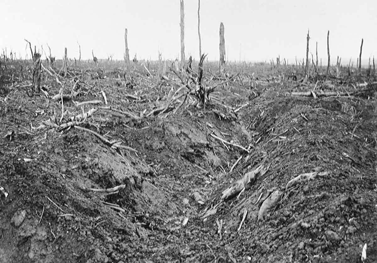 battle somme delville wood