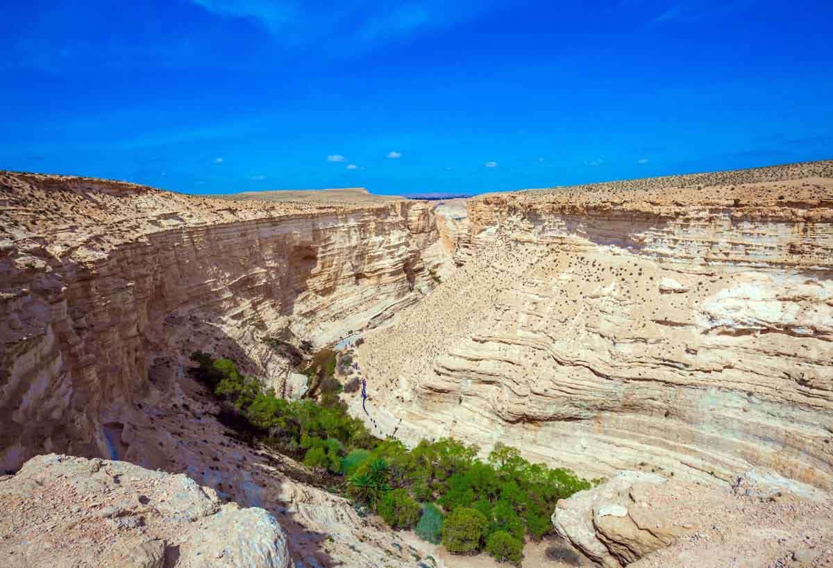 wilderness of zin biblical archaeology