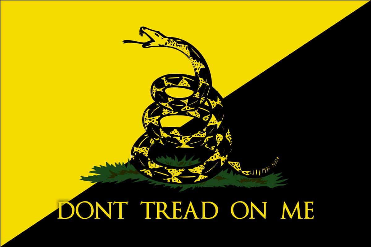 anarcho capitalism flag