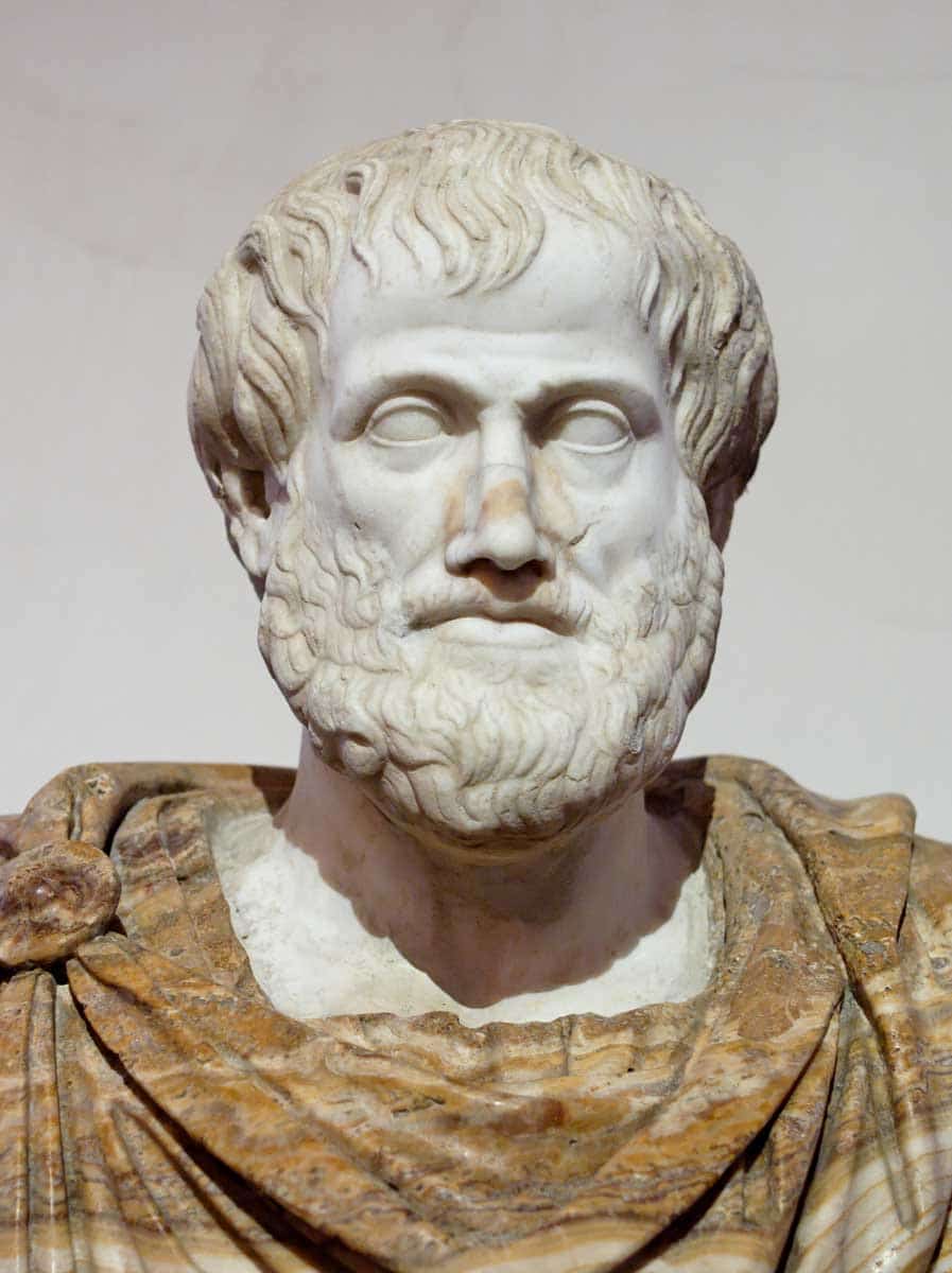 aristotle marble bust