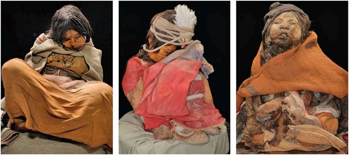 all three llullaillaco children mummies