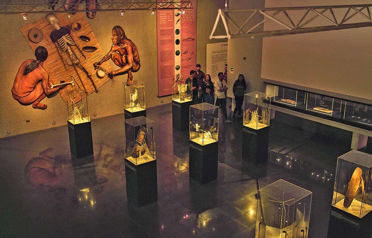 chinchorro museum exhibit chile