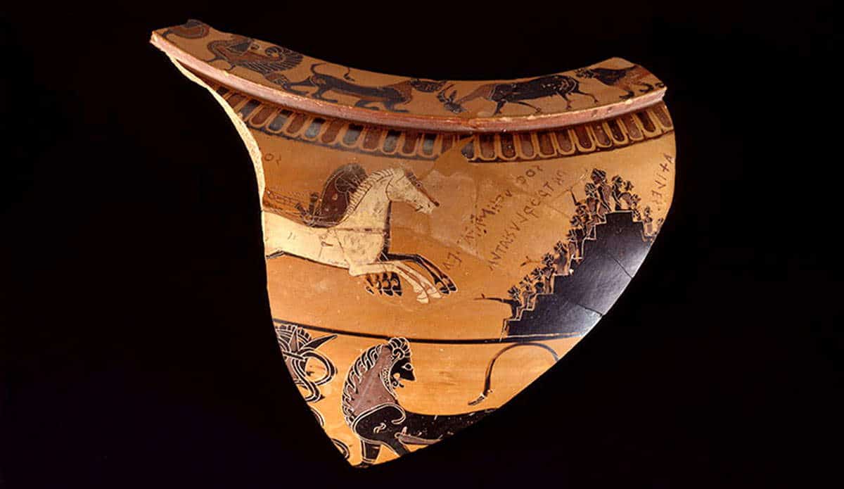 horse races ancient greek vase