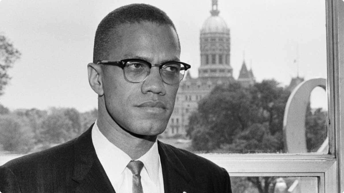 malcolm x portrait