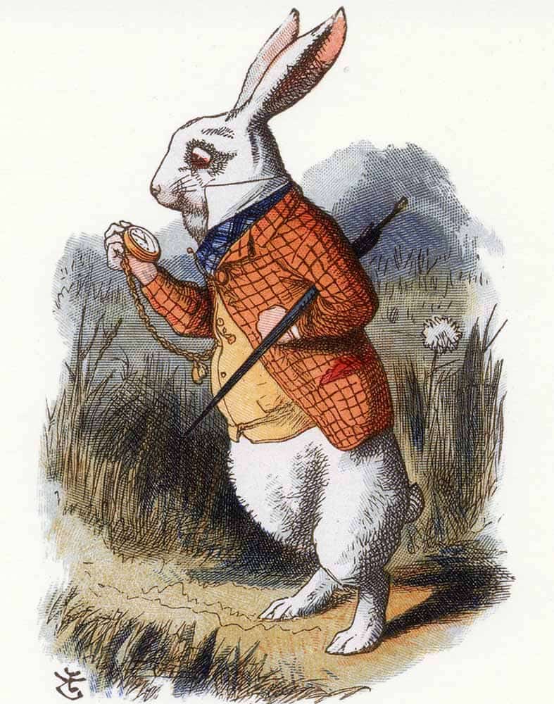 Illustration of the White Rabbit by John Tenniel, 19th century