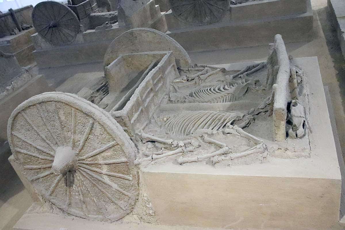 chariot burial shang chinese