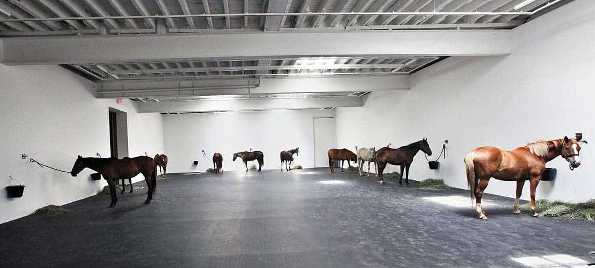 kounellis horses installation