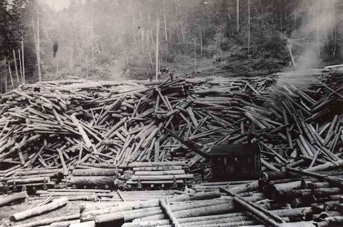 logging wv appalachia