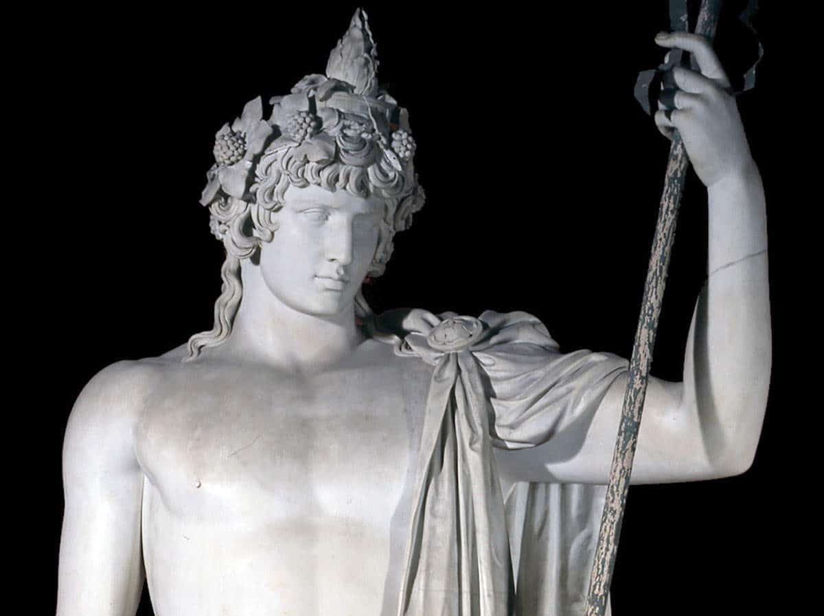 brachi antinous