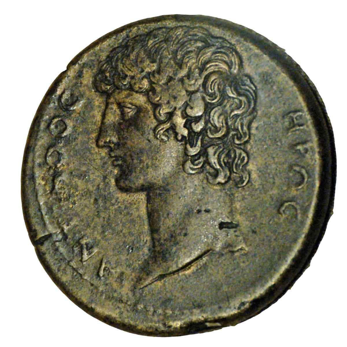 medallion smyrna